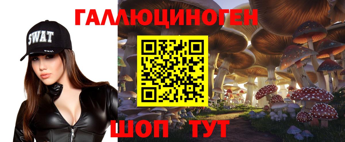 Псилоцибиновые грибы ЛСД  купить  сайты  Галлюциногенные грибы прущие грибы  Урюпинск  Вход с VPN 